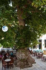 Pyrgos Tinos | Greece | Fotto 35 - Photo GreeceGuide.co.uk