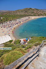 Vai Crete | Lassithi Crete | Greece  Photo 36 - Photo GreeceGuide.co.uk