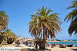 Vai Crete | Lassithi Crete | Greece  Photo 60 - Photo GreeceGuide.co.uk