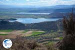 The Lakes Zazari and Chimaditis near Nimfeo in Florina | Macedonia Photo 6 - Photo GreeceGuide.co.uk