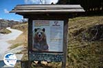 Arktouros protection of wild animals | Florina | Macedonia - Photo GreeceGuide.co.uk