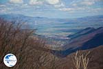 Florina town | Macedonia Greece | Photo 22 - Photo GreeceGuide.co.uk