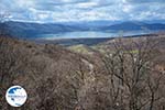 The Lakes of Prespes | Florina Macedonia | Greece Photo 2 - Photo GreeceGuide.co.uk