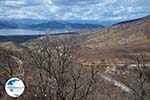 The Lakes of Prespes | Florina Macedonia | Greece Photo 3 - Photo GreeceGuide.co.uk