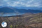 The Lakes of Prespes | Florina Macedonia | Greece Photo 4 - Photo GreeceGuide.co.uk