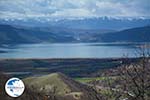 The Lakes of Prespes | Florina Macedonia | Greece Photo 5 - Photo GreeceGuide.co.uk