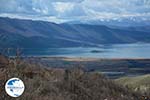 The Lakes of Prespes | Florina Macedonia | Greece Photo 6 - Photo GreeceGuide.co.uk