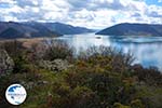 The Lakes of Prespes | Florina Macedonia | Greece Photo 12 - Photo GreeceGuide.co.uk