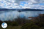 The Lakes of Prespes | Florina Macedonia | Greece Photo 13 - Photo GreeceGuide.co.uk