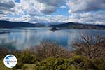 The Lakes of Prespes | Florina Macedonia | Greece Photo 15 - Photo GreeceGuide.co.uk