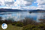 The Lakes of Prespes | Florina Macedonia | Greece Photo 16 - Photo GreeceGuide.co.uk