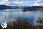 The Lakes of Prespes | Florina Macedonia | Greece Photo 17 - Photo GreeceGuide.co.uk