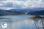 The Lakes of Prespes | Florina Macedonia | Greece Photo 18 - Photo GreeceGuide.co.uk