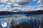 The Lakes of Prespes | Florina Macedonia | Greece Photo 19 - Photo GreeceGuide.co.uk