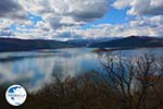 The Lakes of Prespes | Florina Macedonia | Greece Photo 20 - Photo GreeceGuide.co.uk