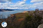 The Lakes of Prespes | Florina Macedonia | Greece Photo 21 - Photo GreeceGuide.co.uk