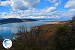 The Lakes of Prespes | Florina Macedonia | Greece Photo 22 - Photo GreeceGuide.co.uk