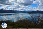 The Lakes of Prespes | Florina Macedonia | Greece Photo 26 - Photo GreeceGuide.co.uk