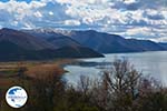 The Lakes of Prespes | Florina Macedonia | Greece Photo 34 - Photo GreeceGuide.co.uk