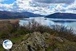 The Lakes of Prespes | Florina Macedonia | Greece Photo 36 - Photo GreeceGuide.co.uk