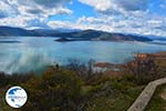 The Lakes of Prespes | Florina Macedonia | Greece Photo 41 - Photo GreeceGuide.co.uk