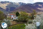 Village Laimos near Prespes | Florina Macedonia | Photo 1 - Photo GreeceGuide.co.uk