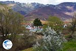 Village Laimos near Prespes | Florina Macedonia | Photo 2 - Photo GreeceGuide.co.uk