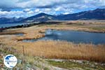 Near the Lakes of Prespes | Florina Macedonia | Greece Photo 42 - Photo GreeceGuide.co.uk