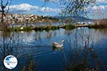 Kastoria | Macedonia Greece | Photo 31 - Photo GreeceGuide.co.uk