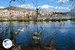 Kastoria | Macedonia Greece | Photo 33 - Photo GreeceGuide.co.uk