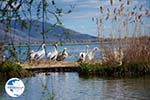 Kastoria | Macedonia Greece | Photo 37 - Photo GreeceGuide.co.uk