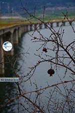 Polifitos-lake Kozani | Macedonia Greece | Greece  Photo 9 - Photo GreeceGuide.co.uk