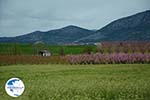 Velvendo  | Kozani Macedonia | Greece  Photo 4 - Photo GreeceGuide.co.uk