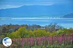 Polifitos-lake Kozani | Macedonia Greece | Greece  Photo 12 - Photo GreeceGuide.co.uk