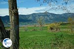 Polifitos-lake Kozani | Macedonia Greece | Greece  Photo 13 - Photo GreeceGuide.co.uk