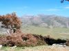 Ida Plateau Crete - Photo GreeceGuide.co.uk