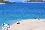 Golden beach | Marmari Euboea | Greece Photo 6 - Photo GreeceGuide.co.uk