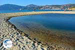 Golden beach Euboea | Marmari Euboea | Greece Photo 19 - Photo GreeceGuide.co.uk