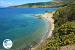 beach near Kokkini | Marmari Euboea | Greece Photo 19 - Photo GreeceGuide.co.uk