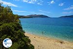 beach Kokkini | Marmari Euboea | Greece Photo 20 - Photo GreeceGuide.co.uk