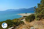 Near Golden beach Euboea | Marmari Euboea | Greece Photo 78 - Photo GreeceGuide.co.uk