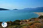 Near Golden beach Euboea | Marmari Euboea | Greece Photo 92 - Photo GreeceGuide.co.uk