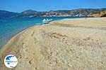 Near Golden beach Euboea | Marmari Euboea | Greece Photo 106 - Photo GreeceGuide.co.uk