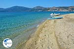 Near Golden beach Euboea | Marmari Euboea | Greece Photo 107 - Photo GreeceGuide.co.uk
