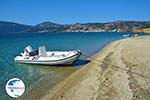 Near Golden beach Euboea | Marmari Euboea | Greece Photo 110 - Photo GreeceGuide.co.uk